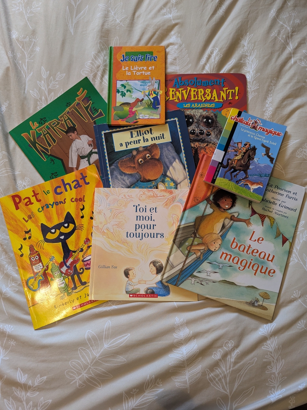 Children's Story Book Set - Assorted French Books